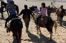 Ensenada ATV and Horseback Riding Combo Adventure