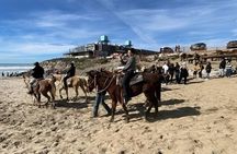 Ensenada ATV and Horseback Riding Combo Adventure