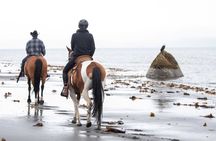 Beach Ride Adventure in Homer Alaska