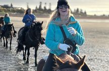 Beach Ride Adventure in Homer Alaska