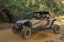 Raizer Rock Tour of the Nayarit Mountains