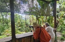 Mindo Cloud Forest: Hummingbirds, Birding & Waterfalls | Private