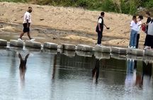 Gyeongju Private tour (Unesco) with pick up