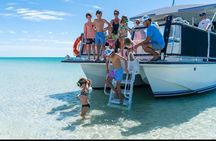 Private Charter: Shell Island Snorkeling & Dolphin Adventure