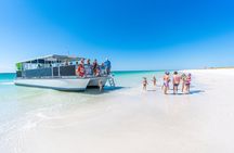 Private Charter: Shell Island Snorkeling & Dolphin Adventure