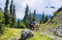 Tbilisi to Borjomi National Park Horseback Riding Day Trip (Easy)