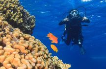 PADI Advanced Open Water Diver Course