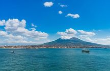 Visit to Vesuvius Panorama and Comfort by Minivan and Minibus