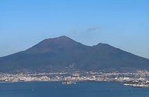 Visit to Vesuvius Panorama and Comfort by Minivan and Minibus