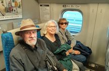 Best of Tokyo Private Tour for Yokohama Cruise Passengers