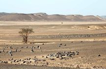 Desert Trek Morocco 3 Days