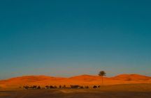 3 days Desert Adventure from Marrakech to Merzouga