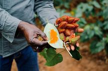 Zanzibar Spice Farm and Swahili Lunch and Stone Town Tour