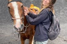 Experience Pacaya Volcano Trek by Horseback Riding