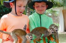 Experience with 5 species of Monkey in Monkey house vip Punta Cana