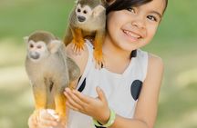 Experience with 5 species of Monkey in Monkey house vip Punta Cana