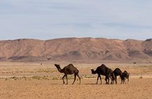 Merzouga 4X4 Adventure : Nomad Family & Gnawa Music Experience