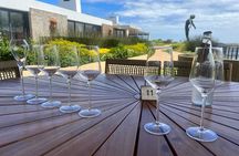 Cape Agulhas: Where Indian Meets Atlantic — Private Full-Day Tour