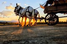 Scenic Wagon Tour Along Bozeman Trail