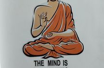  Kung Fu House, Jaipur Qigong Retreats & Shaolin Kung Fu