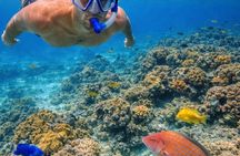 Private Reef Fishing and Snorkeling Adventure