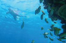 Hurghada Premium Hula Hula Island Cruise with Lunch and Transfer