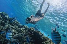 Hurghada Premium Orange Island Cruise with Lunch and Transfer