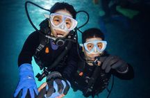 Try Scuba Diving diving at the Blue Cave in Onna Village, Okinawa