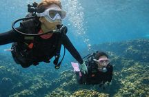 Try Scuba Diving diving at the Blue Cave in Onna Village, Okinawa