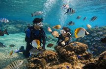 Try Scuba Diving diving at the Blue Cave in Onna Village, Okinawa