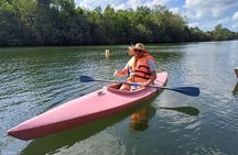 Phu Quoc Fullday Tour Cua Can river