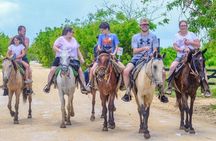 Punta Cana Horseback Riding Tour To Monkeyland & Macao Beach