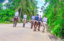 Punta Cana Horseback Riding Tour To Monkeyland & Macao Beach
