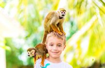 Punta Cana Horseback Riding Tour To Monkeyland & Macao Beach