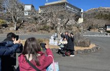Accessible Mt Fuji and Hakone Tour with English Speaking Driver