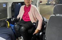 Accessible Mt Fuji and Hakone Tour with English Speaking Driver