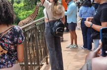 Nairobi City Tour and Giraffe Center Tour