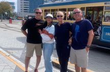 Lyttleton Port Excursion Day Tour 3 options for Cruise travelers