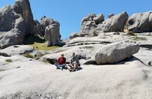 Arthurs Pass Private Day Trip from Christchurch with Castle Hill