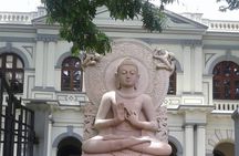 Multi Day Customize Sri Lanka sightseeing Tour with Car & Driver