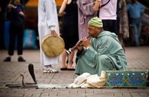 Marrakech Day Trip From Agadir with Tour Guide