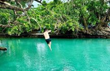 Efate Island Tour – Village, Turtles, Blue Lagoon & Eden River