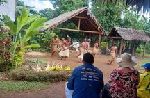 Efate Island Tour – Village, Turtles, Blue Lagoon & Eden River