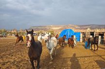 Cappadocia Sunrise Horseback Riding Tour with Hotel Pickup