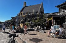 Half-Day Cape Highlights Table Mountain and Penguins