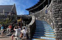 Half-Day Cape Highlights Table Mountain and Penguins