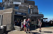 Half-Day Cape Highlights Table Mountain and Penguins