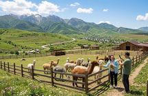 Shamakhi Alpacas & Lahıc İsmayilli Day Trip