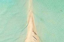 Sand Dolla Tours - Private, snorkeling, Sand Bar, Noah's Ark