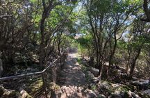 Lake Skadar Scenic Boat Tour to Kom Monastery